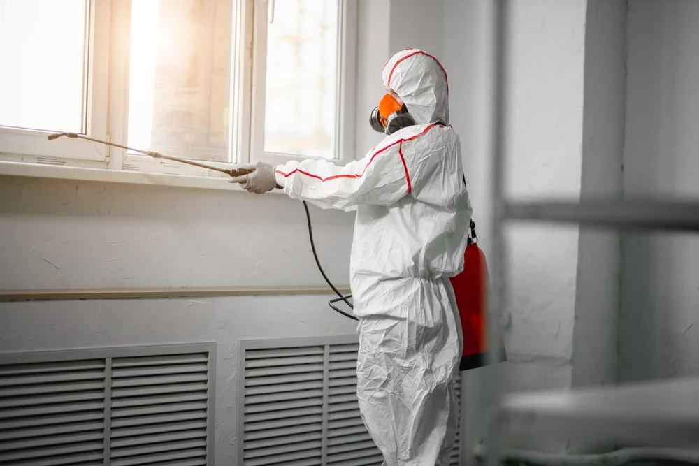 Professional mold remediation services in Plainfield, MA